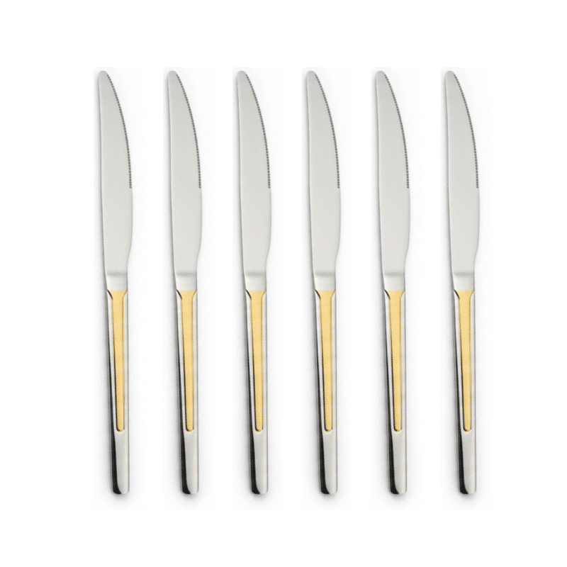 Stainless Steel Dinner Knife Set