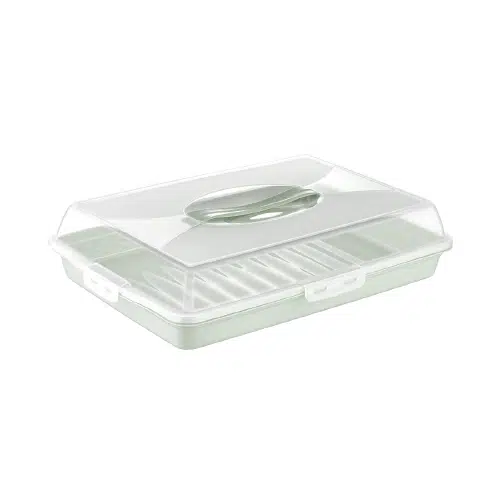 الصفحة الرئيسية