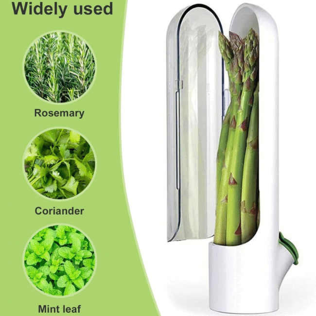 ⁦حافظ الأعشاب، حافظ الأعشاب للثلاجة للحفاظ على الخضراوات الطازجة والخضراء⁩ - الصورة ⁦8⁩