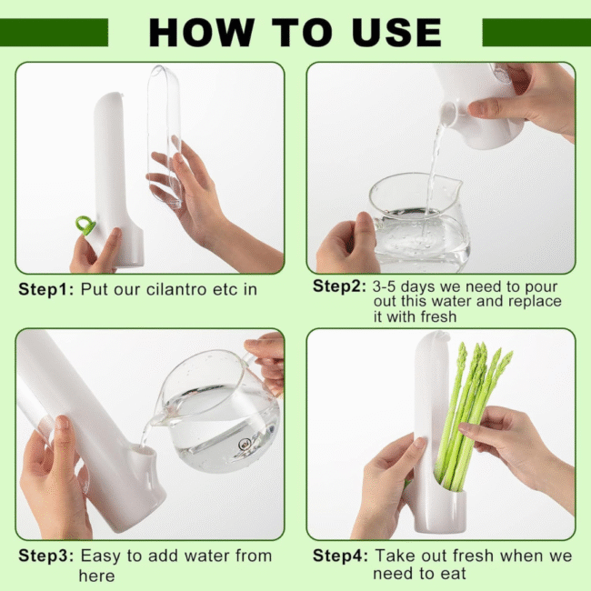 ⁦حافظ الأعشاب، حافظ الأعشاب للثلاجة للحفاظ على الخضراوات الطازجة والخضراء⁩ - الصورة ⁦7⁩