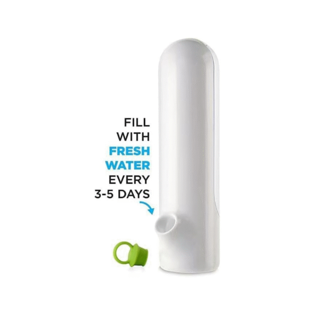 ⁦حافظ الأعشاب، حافظ الأعشاب للثلاجة للحفاظ على الخضراوات الطازجة والخضراء⁩ - الصورة ⁦5⁩