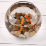 Pasabahce Glass Vase Small Ball Shape Botanica- Turkey Made - Image 9