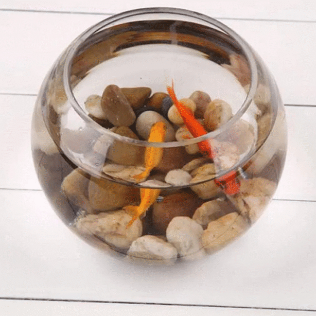 Pasabahce Glass Vase Small Ball Shape Botanica- Turkey Made - Image 9