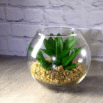 Pasabahce Glass Vase Small Ball Shape Botanica- Turkey Made - Image 10